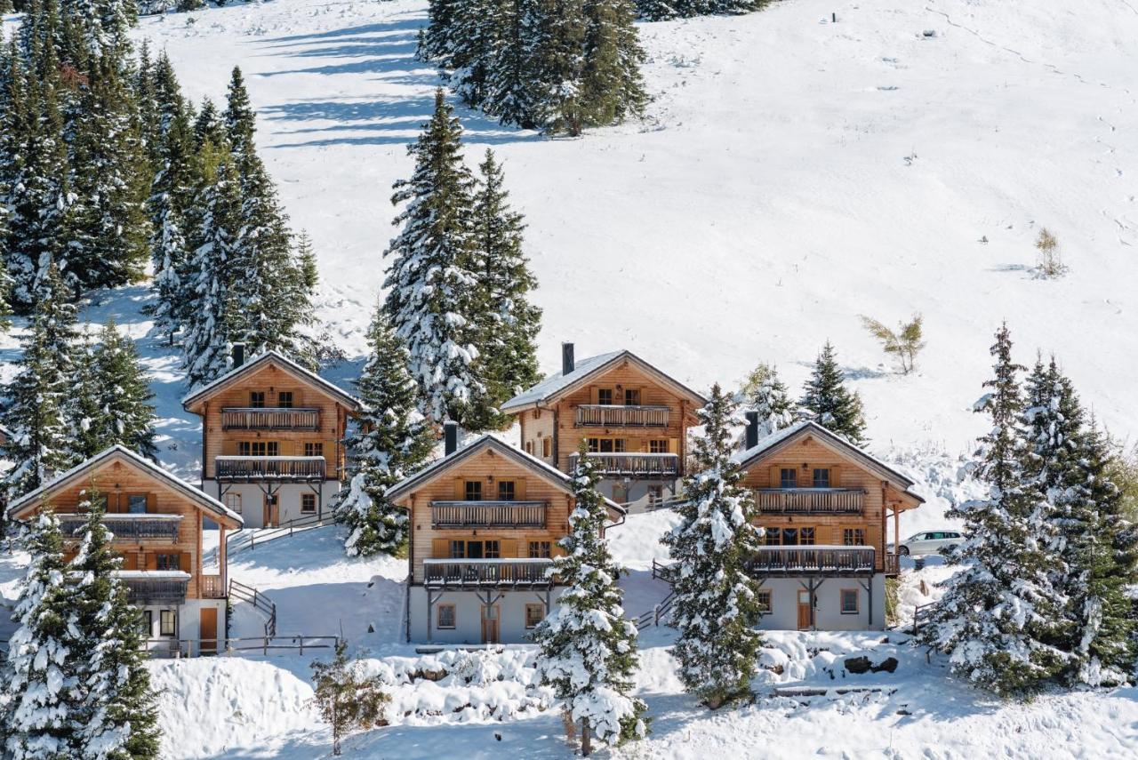 Feriendorf Koralpe Alpenrose Frantschach エクステリア 写真